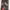 dresss pesta  photo 5
