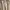 Love and flair outer photo 2