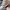 LOUIS VUITTON TRAINER MAXI SNEAKERS WHITE , LOUIS VUITTON TR photo 6