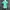 ADIDAS CLIMALITE RUNNER JERSEY