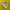 NB 530 photo 1