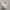 Adidas Yeezy Boost 350 v2 original  photo 8