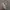 Adidas Yeezy Boost 350 v2 original  photo 1
