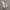 Adidas Yeezy Boost 350 v2 original  photo 9