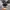 Converse Allstar Low Black White photo 6