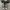 Converse Allstar Low Black White photo 4