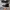 Converse Allstar Hi Black White photo 2