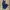 Guess Low Rise Slim Bootcut  photo 1