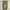 Uniqlo Chino Pants Khakis Reguler Fit Thick Cotton Material
