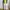 Uniqlo Chino Work Pants White Reguler Fit Canvas Material Lo photo 2