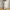 Uniqlo Chino Work Pants White Reguler Fit Canvas Material Lo photo 3