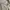 Uniqlo Chino Work Pants White Reguler Fit Canvas Material Lo photo 8