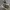 Converse Originals Chuck Taylor 70s All Star  ( Size 37 ) photo 1