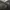 Polo Ralph Lauren Luxury Leather jacket Pria gray photo 3