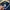 MLB Casual Sweatshirt Pria navy photo 5