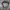 Tracktop Adidas Firebird Grey photo 5