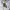 Vintage Y2K T-shirt Pria gray photo 3