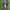 Converse Chuck Taylor All Star x AS 98 photo 5