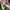Converse Chuck Taylor All Star x AS 98 photo 6
