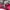 The North Face Casual Puffer jacket Wanita pink photo 4