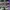 LOUIS VUITTON TRAINER X VIRGIL ABLOH WHITE GREEN , LOUIS VUI photo 4