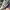LOUIS VUITTON TRAINER X VIRGIL ABLOH WHITE GREEN , LOUIS VUI photo 6