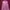 Vest puffer outdoor champion burgundy photo 3