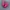 Sendal Crocs Pink Barbie photo 2