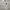 no brand jersey photo 1