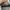 Reproduction of Found French Military 1990s Slovakia photo 6