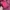 Japanese brand Streetwear Sportswear Windbreaker Pria red photo 5