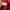 Japanese brand Streetwear Sportswear Windbreaker Pria red photo 4