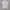VIVIENNE WESTWOOD LUXURY POLO SHIRT photo 4
