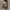 SEIKO 5 ROMAN DATE ORIGINAL photo 3