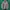 Japanese Brand Streetwear Windbreaker Pria Brown