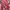 Celana Bahan Wanita Pink Pinggang Karet Full photo 3