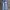 Miss me jeans photo 1