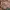 Japanese brand Streetwear Windbreaker Pria brown photo 5