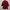 BURBERRY London Coat Jacket