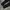 Nike ACG tracksweat photo 2