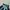 Nike Streetwear Sportswear Track Jacket Pria Green Black