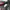 BODYPACK X SSST BUMP BAG photo 4
