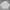 Champion Reverse Weave Crewneck photo 1