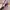 Gucci Guccisima Heart Bit Tote Bag photo 5