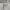 Covernat Vintage Y2K Short Wanita white photo 4