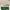 Lacoste Casual Sneakers Pria tan cream photo 5