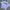 Vintage Y2K T-shirt Pria gray photo 1