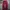 Vintage NIKE Trackpants Parachute Maroon Y2k