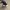 STARTER LOW TOP CANVAS BLACK SECOND 42.5 photo 4