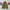 Jacket flyers military gap vintage 90s photo 1